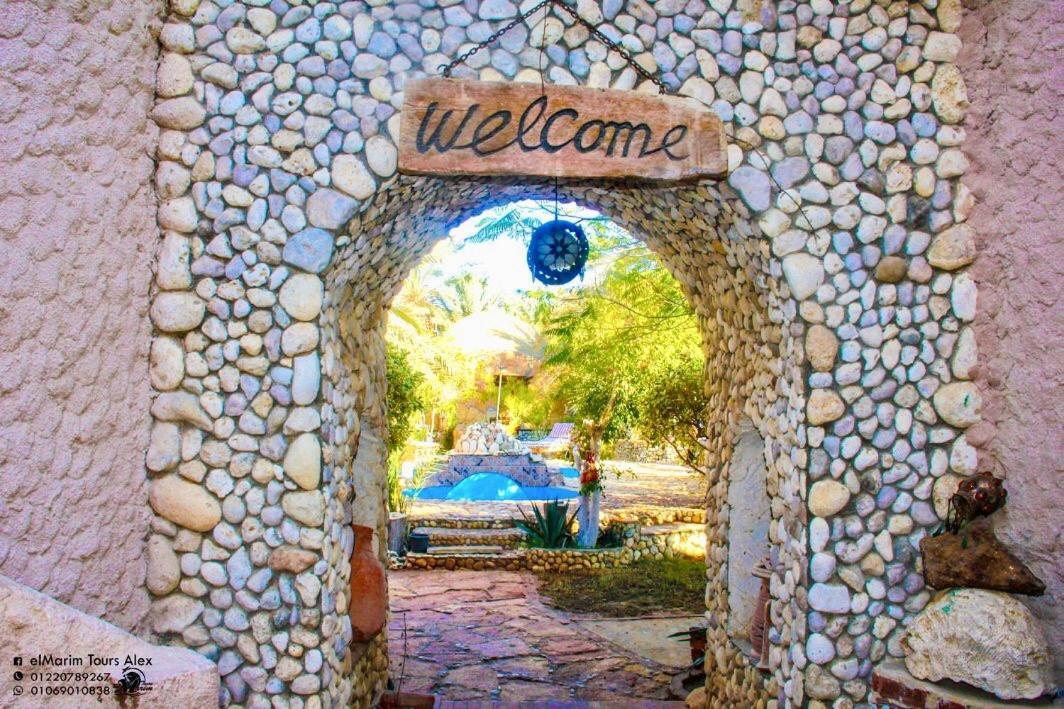 Siwa Oasis Dream Lodge Siwa מראה חיצוני תמונה