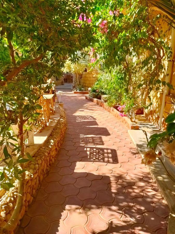 Siwa Oasis Dream Lodge Siwa מראה חיצוני תמונה