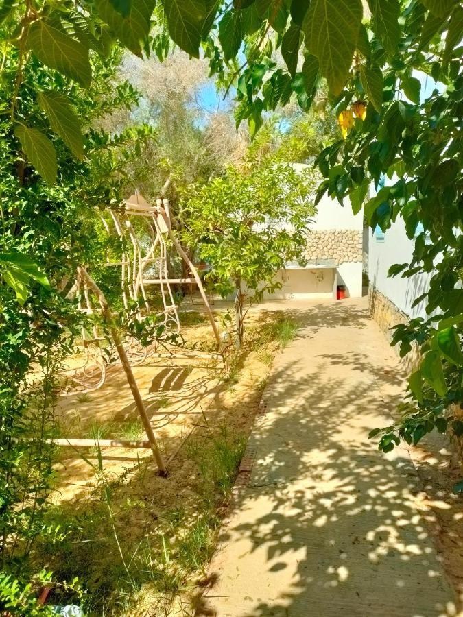 Siwa Oasis Dream Lodge Siwa מראה חיצוני תמונה