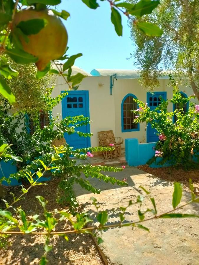 Siwa Oasis Dream Lodge Siwa מראה חיצוני תמונה