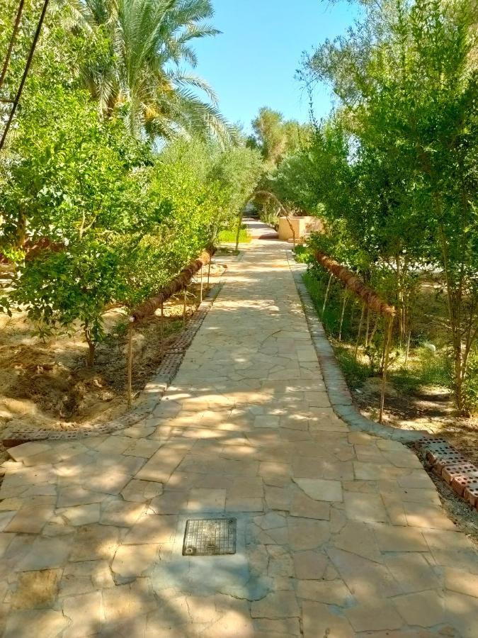 Siwa Oasis Dream Lodge Siwa מראה חיצוני תמונה