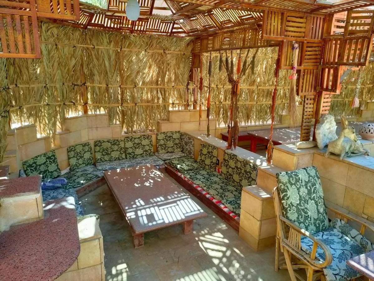 Siwa Oasis Dream Lodge Siwa מראה חיצוני תמונה